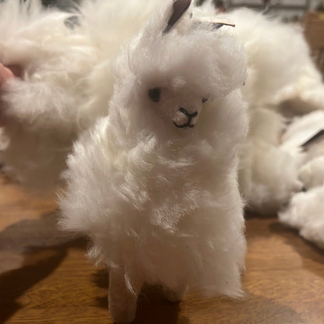 Llama Stuffies