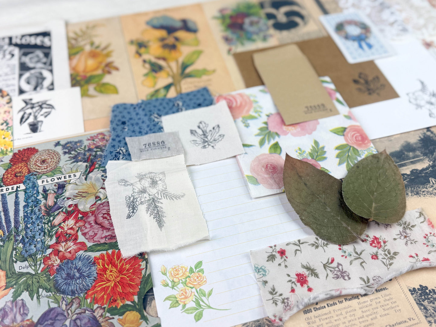 Botanical and Nature Ephemera Kit - Concordia Style Boutique