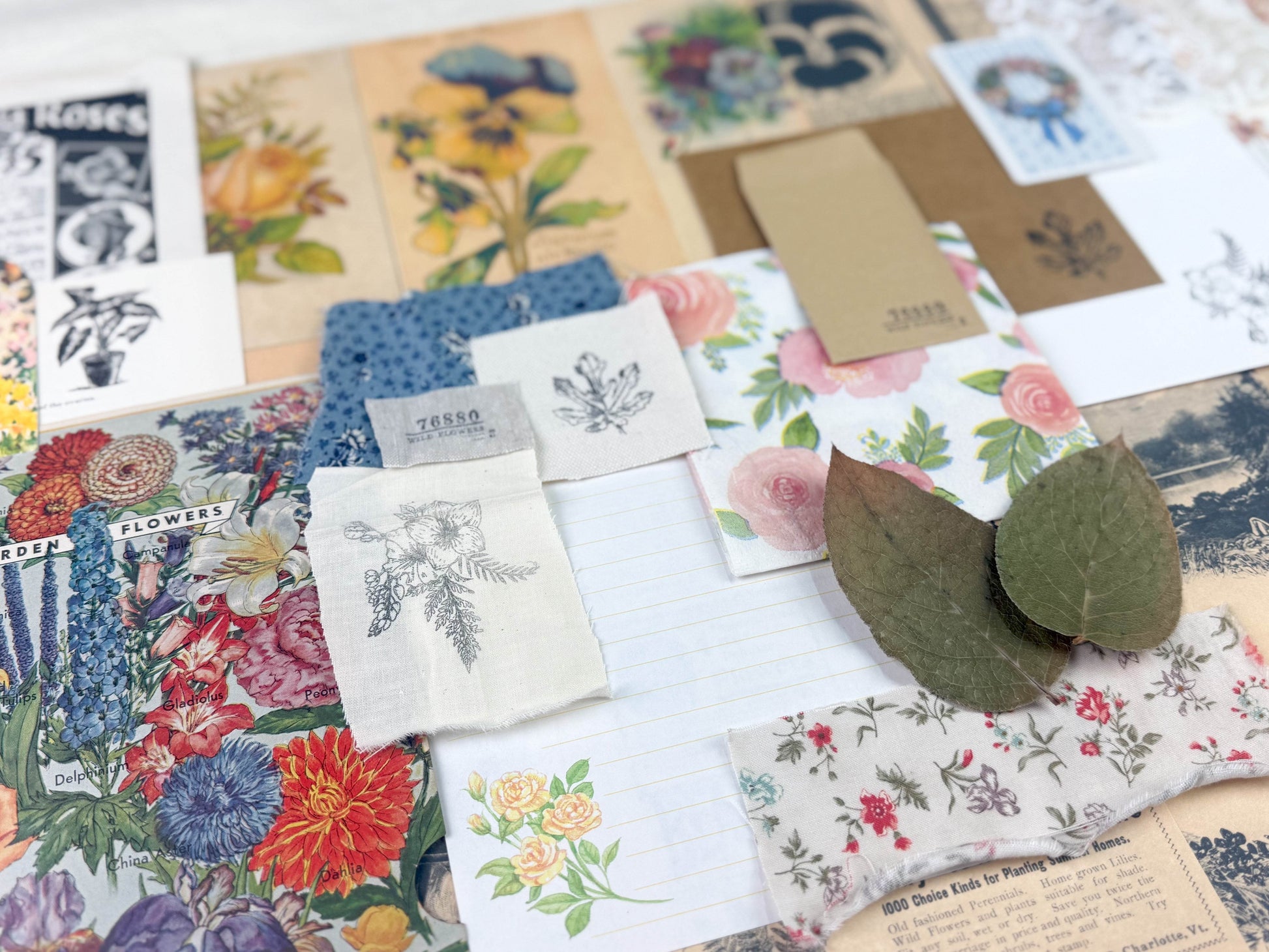 Botanical and Nature Ephemera Kit - Concordia Style Boutique