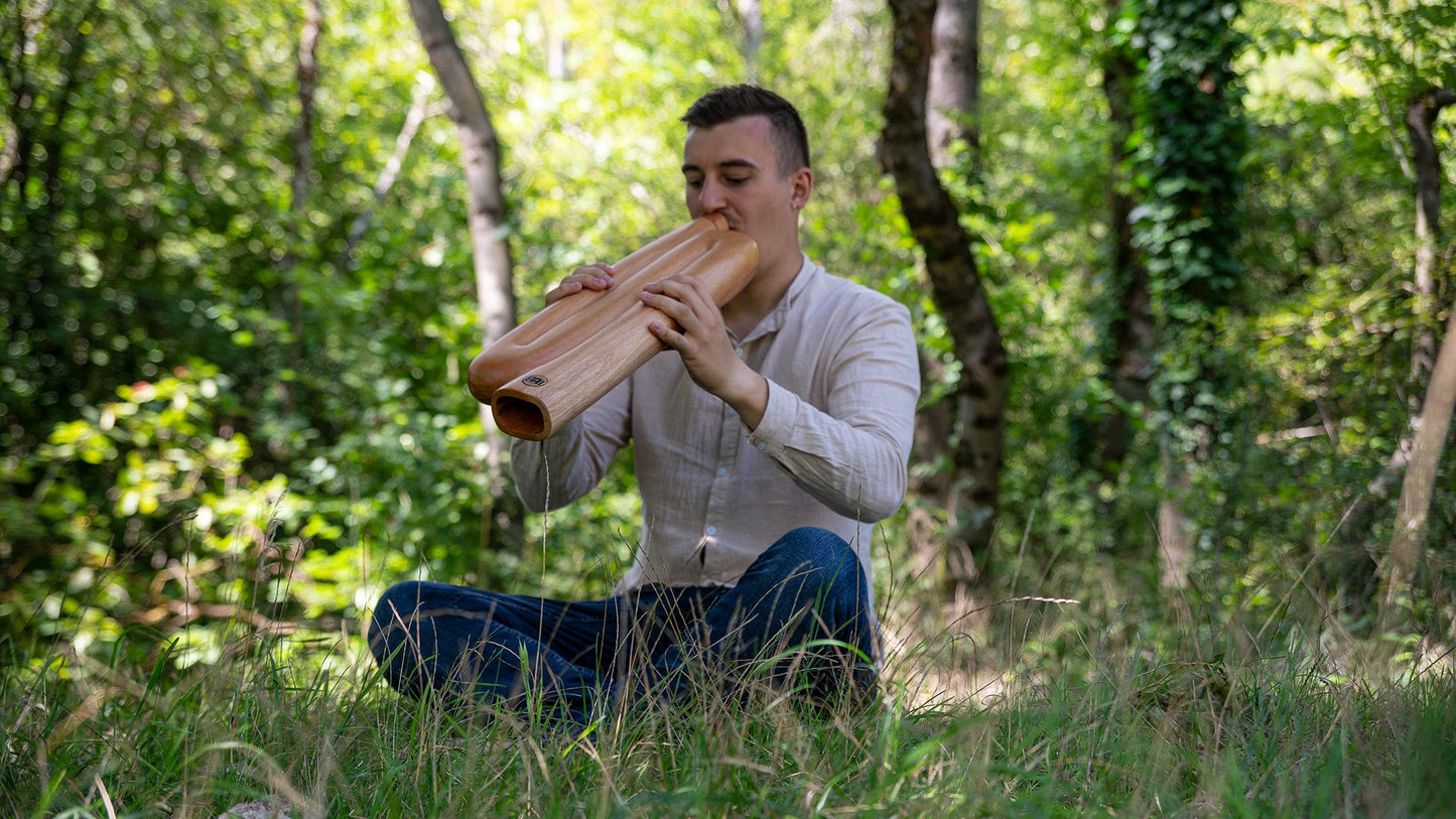 Z-Shaped Pro Didgeridoo, Tuning D, Natural