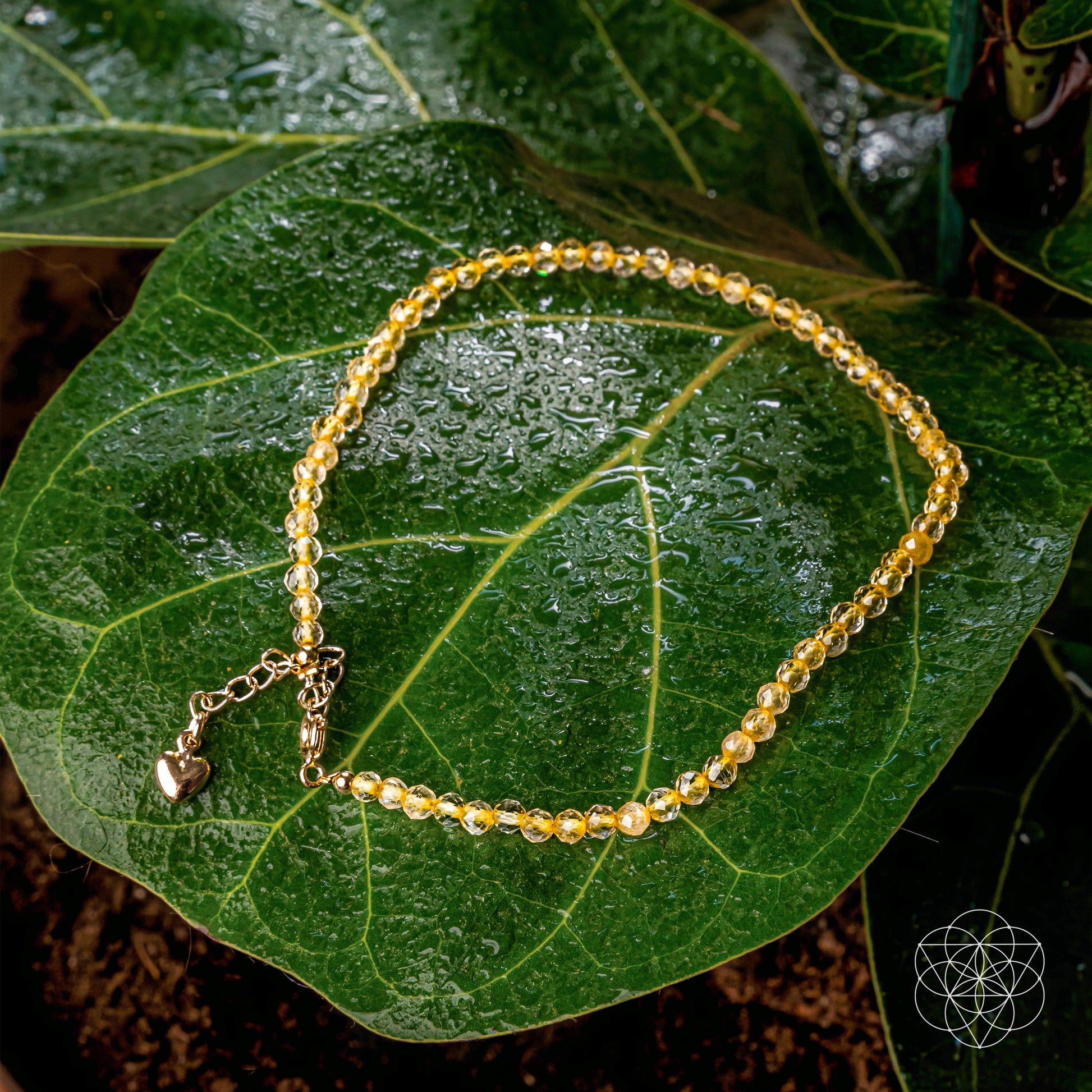 The Abundance Anklet - Concordia Style Boutique