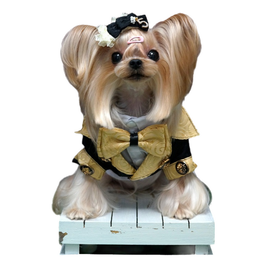 Royal Pup Couture Dog Suit Pet Tuxedo+Shirt