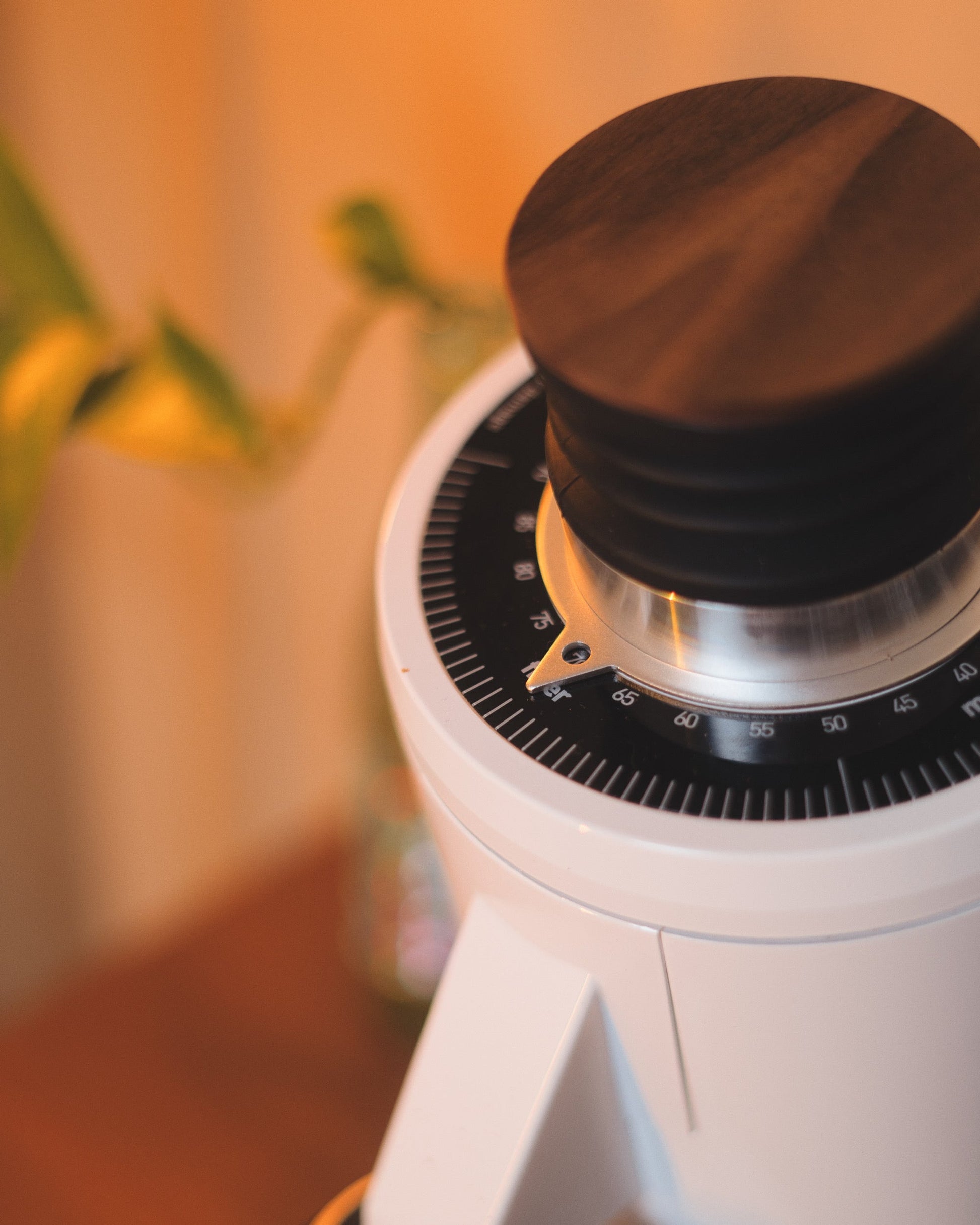 Turin DF83 v3 Single Dose Grinder - Concordia Style Boutique