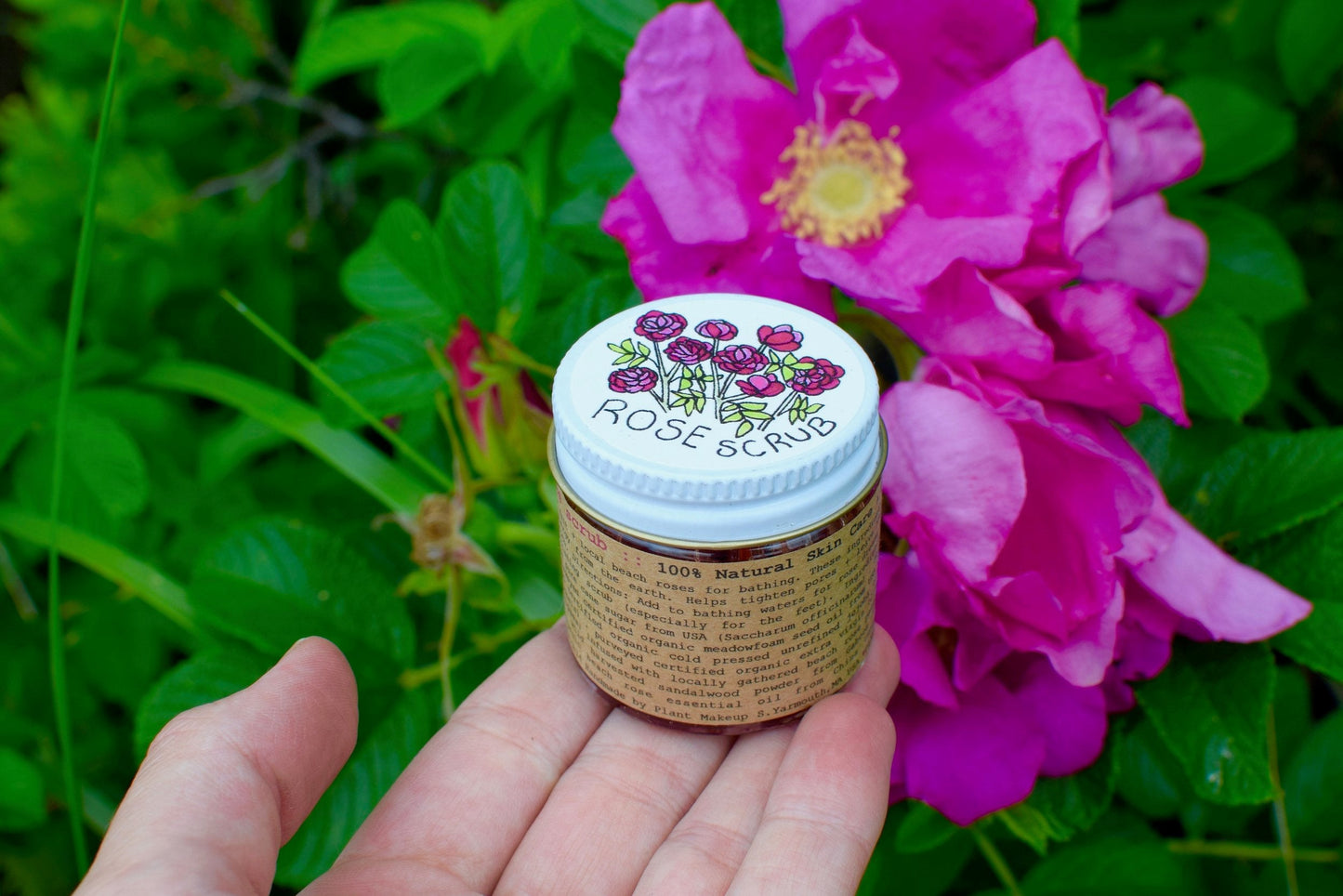 Beach Rose Scrub - Concordia Style Boutique
