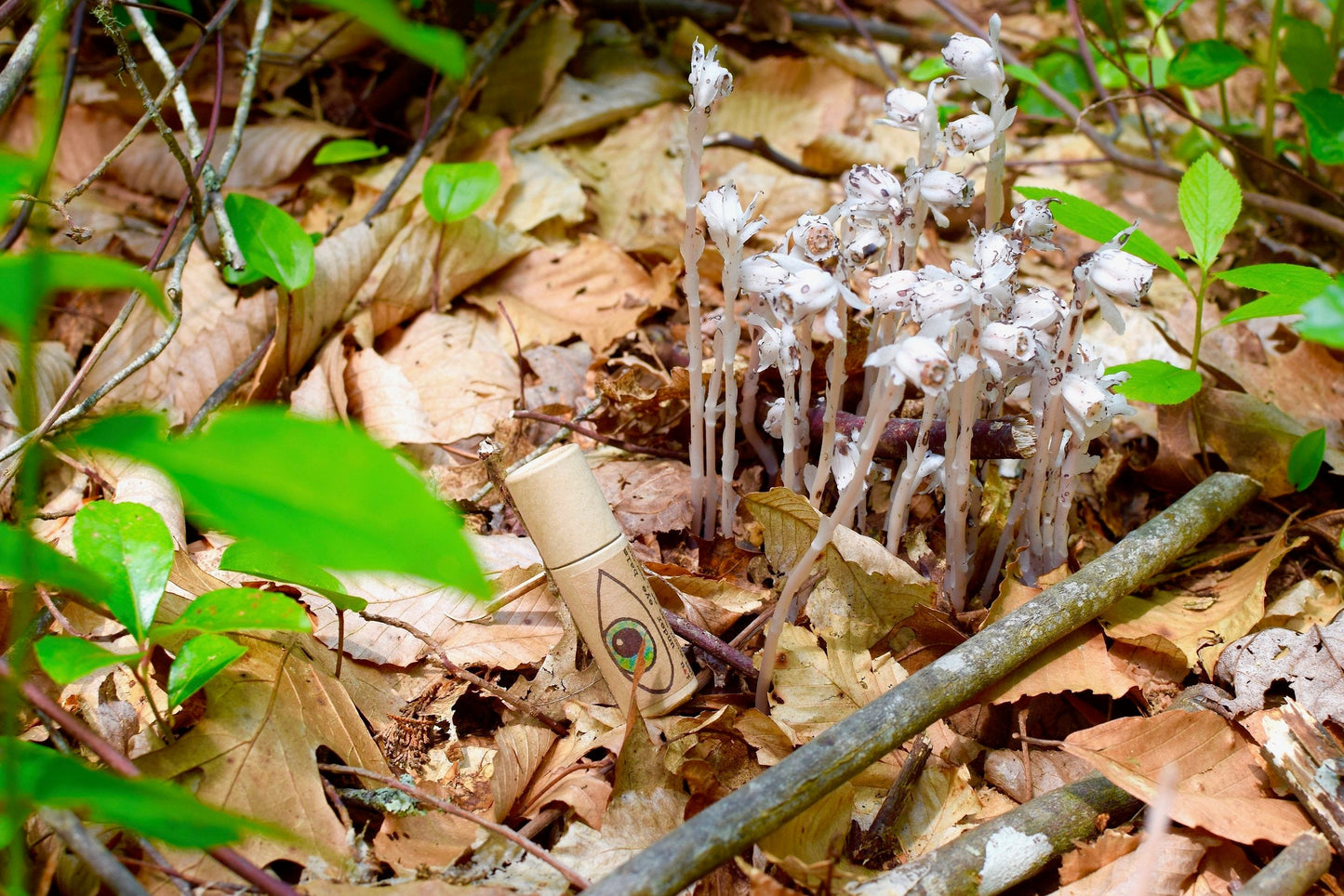 I Love You Under Eye Balm - Concordia Style Boutique