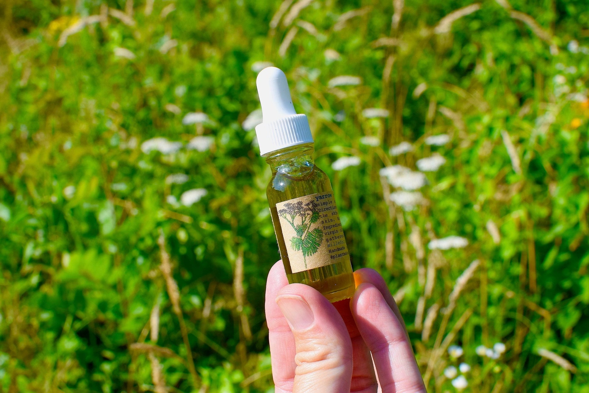 Yarrow Beauty Serum - Concordia Style Boutique