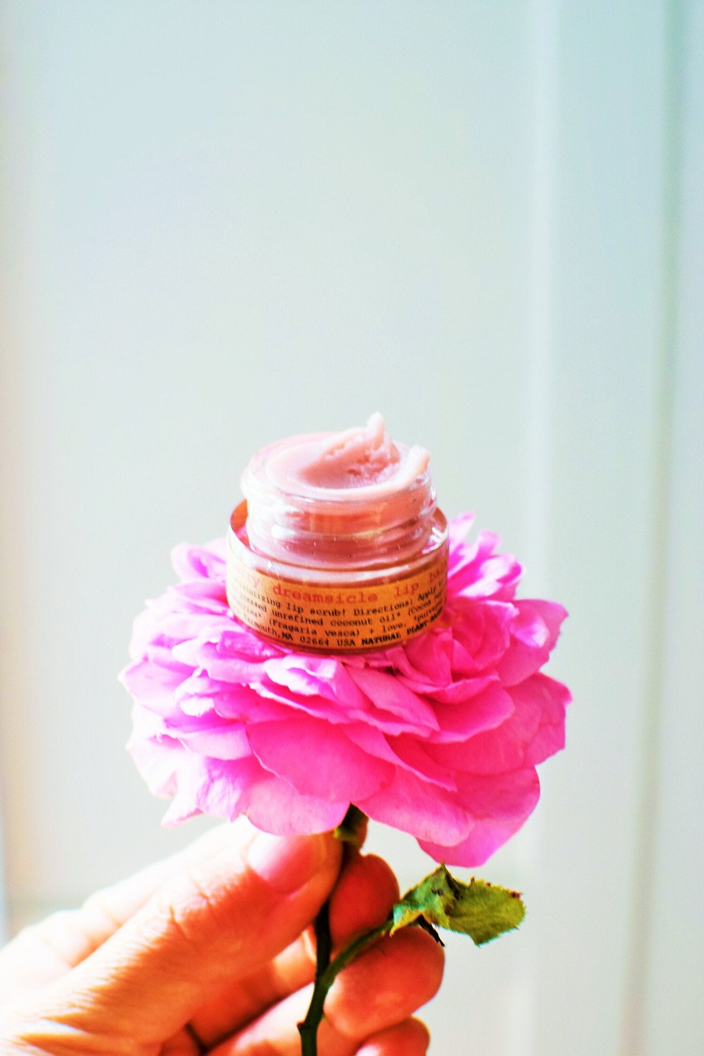 Strawberry Dreamsicle Lip Balm Scrub - Concordia Style Boutique