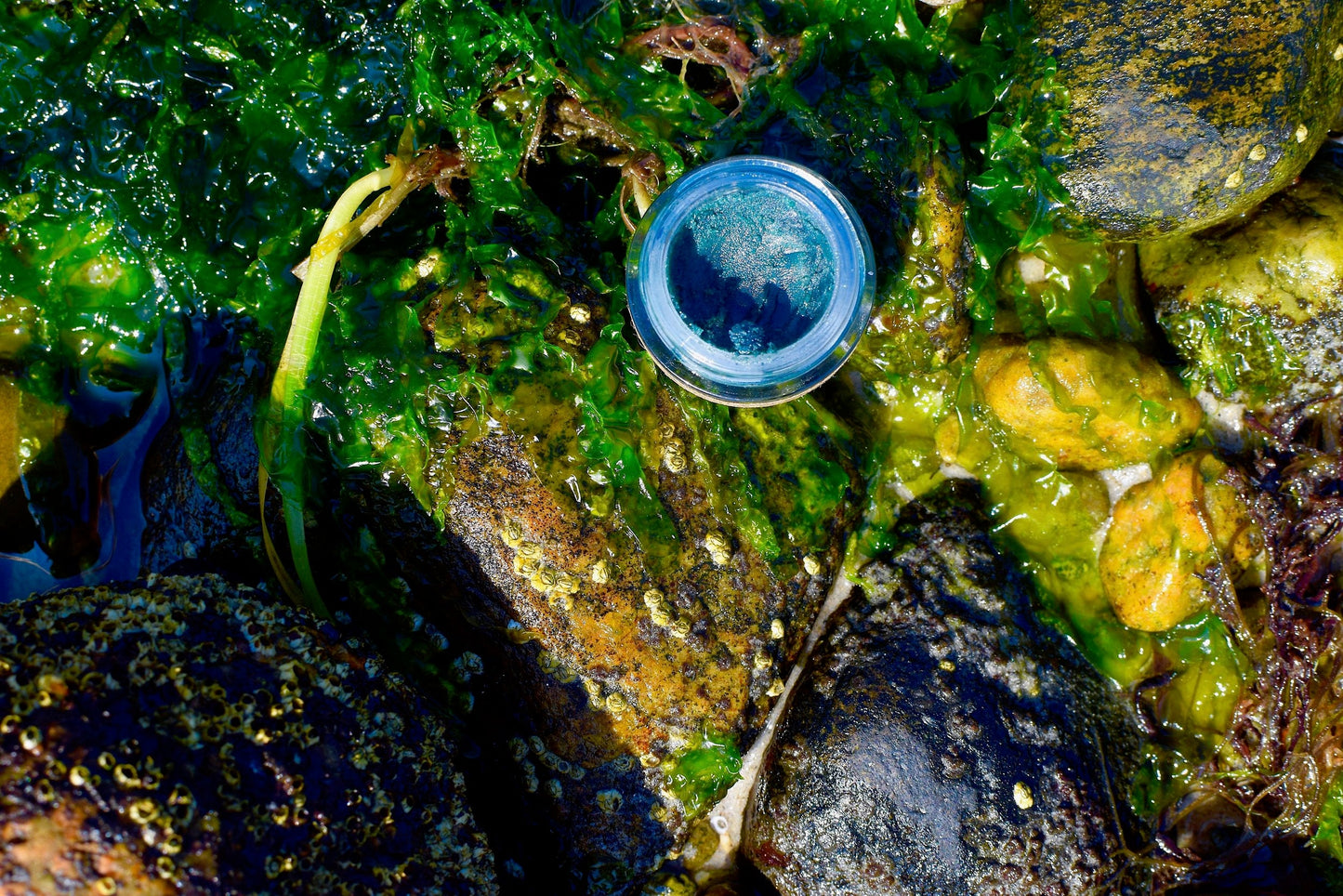 Mermaid Makeup Balm - Concordia Style Boutique