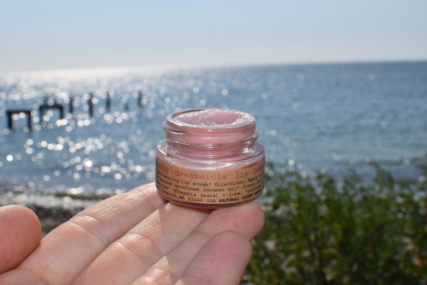 Strawberry Dreamsicle Lip Balm Scrub - Concordia Style Boutique