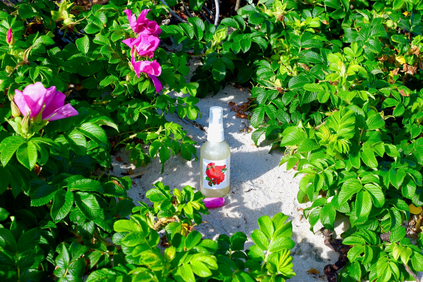 Wild Rose Face Wash - Concordia Style Boutique