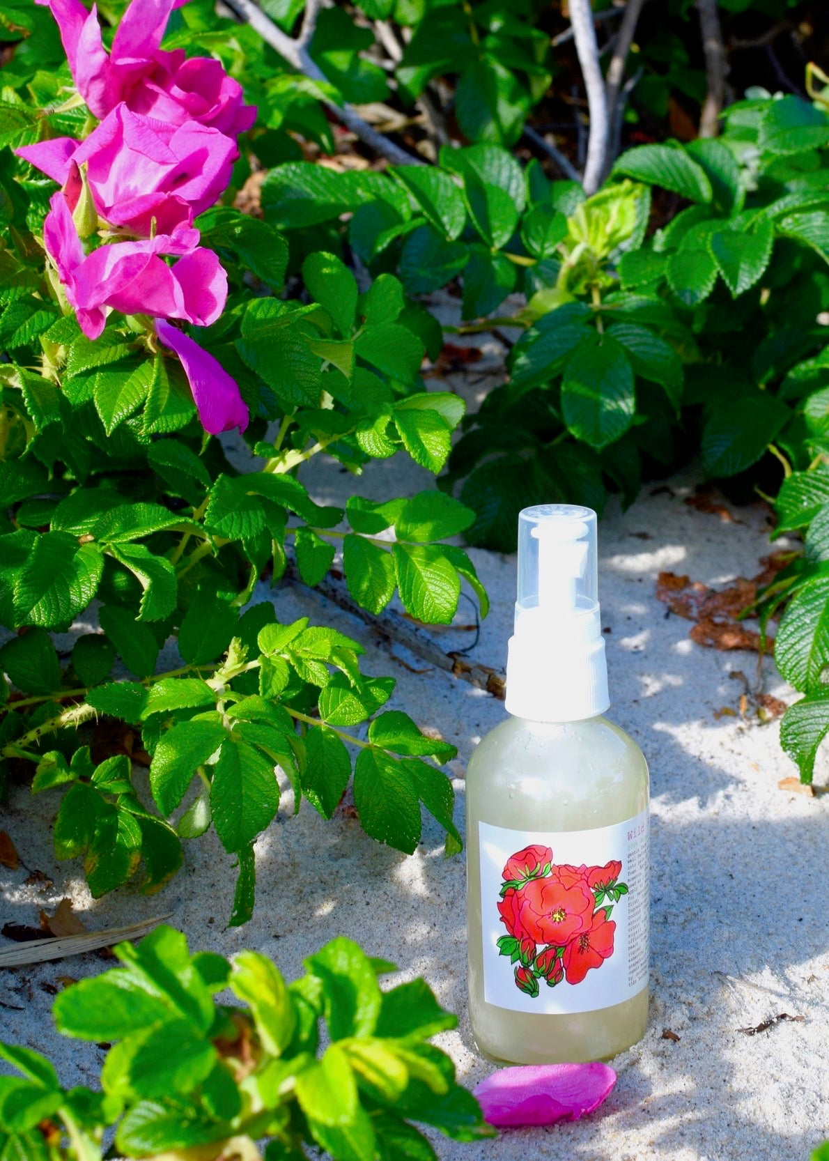 Wild Rose Face Wash - Concordia Style Boutique