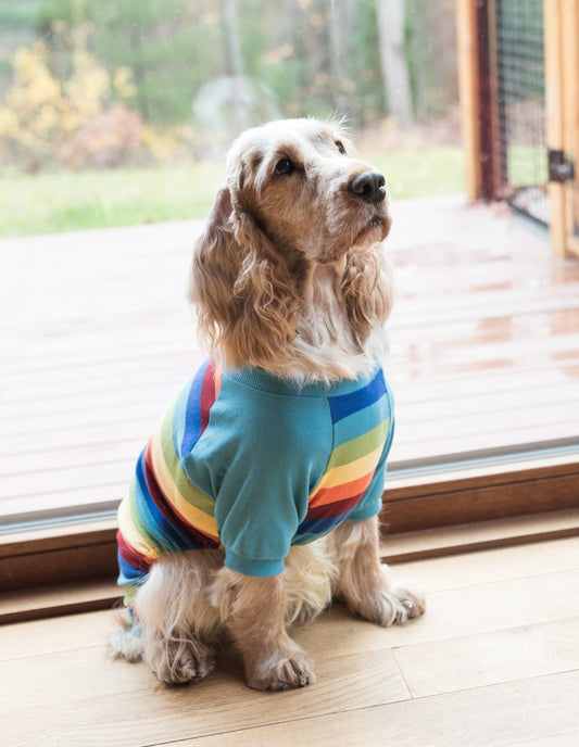 Dog Cotton Rainbow Boy Stripes Pajamas - Concordia Style Boutique