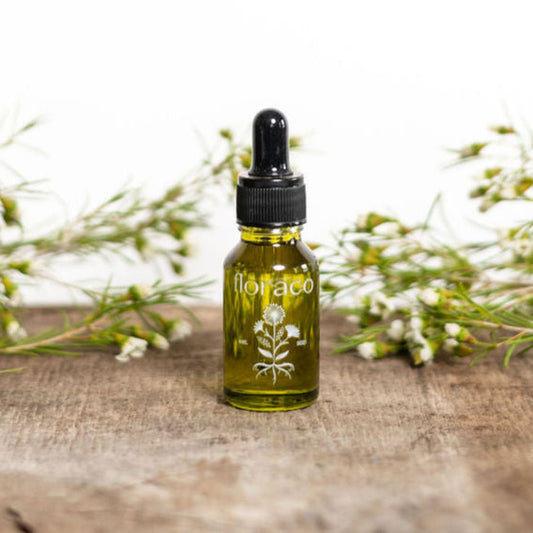 Rosemary Sage Oil Blend: Eucalyptus Rosemary, Sage and Evergreen Scented