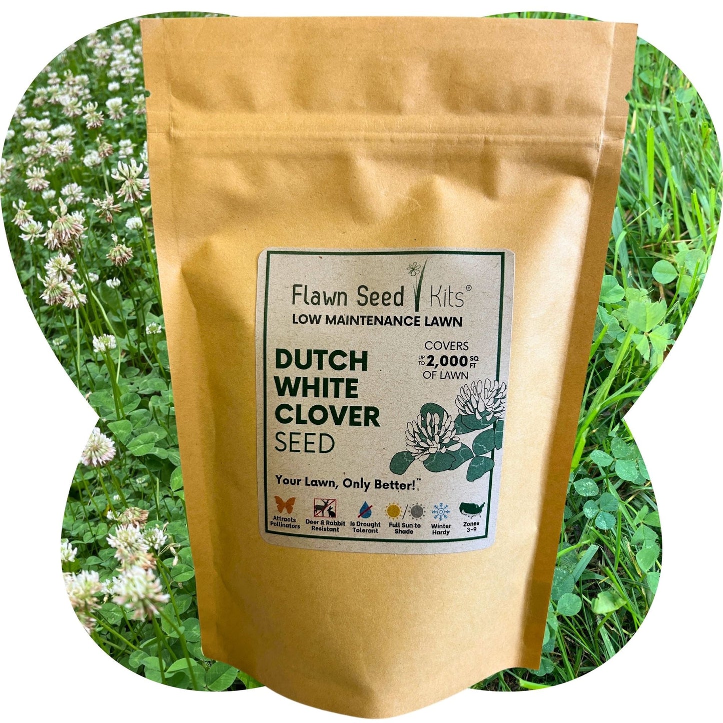 Dutch White Clover Seed - Concordia Style Boutique
