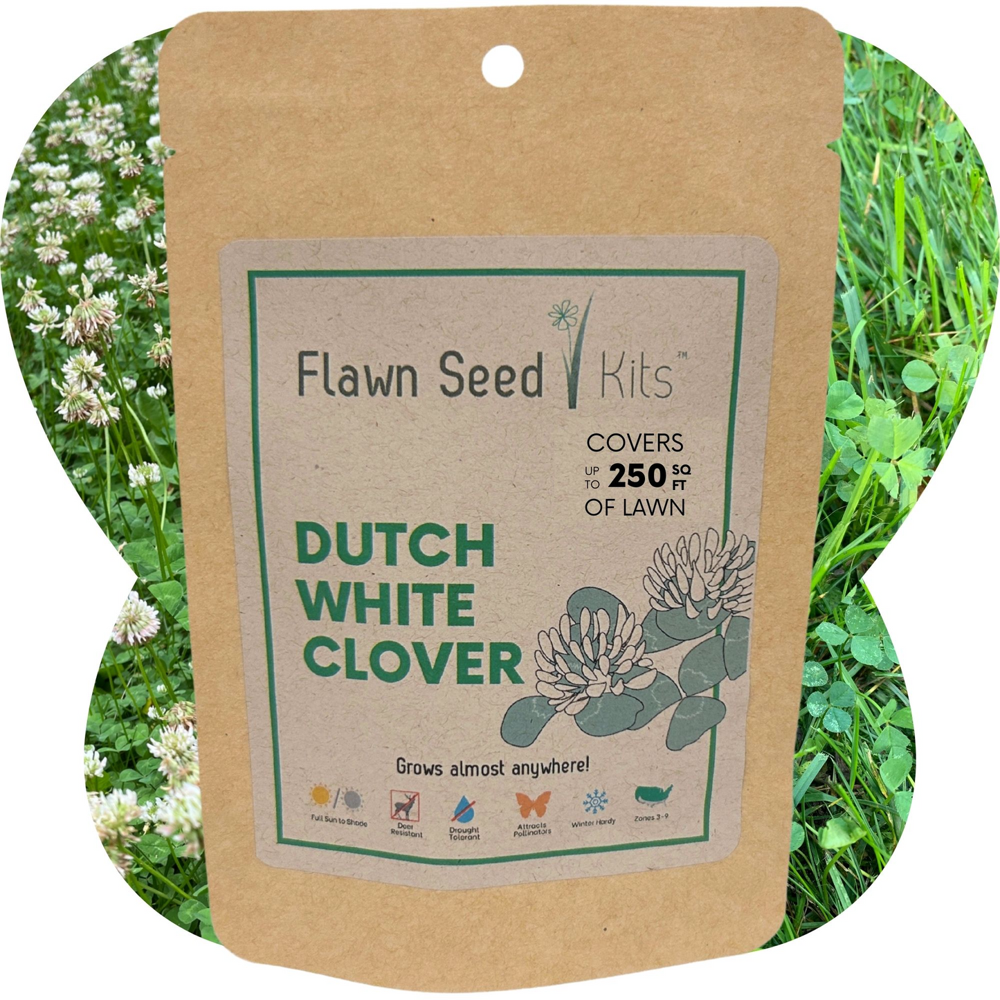 Dutch White Clover Seed - Concordia Style Boutique