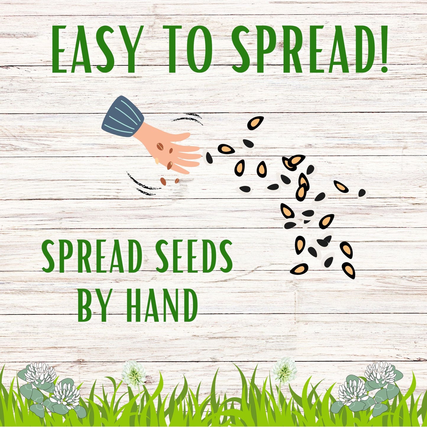 Dutch White Clover Seed - Concordia Style Boutique