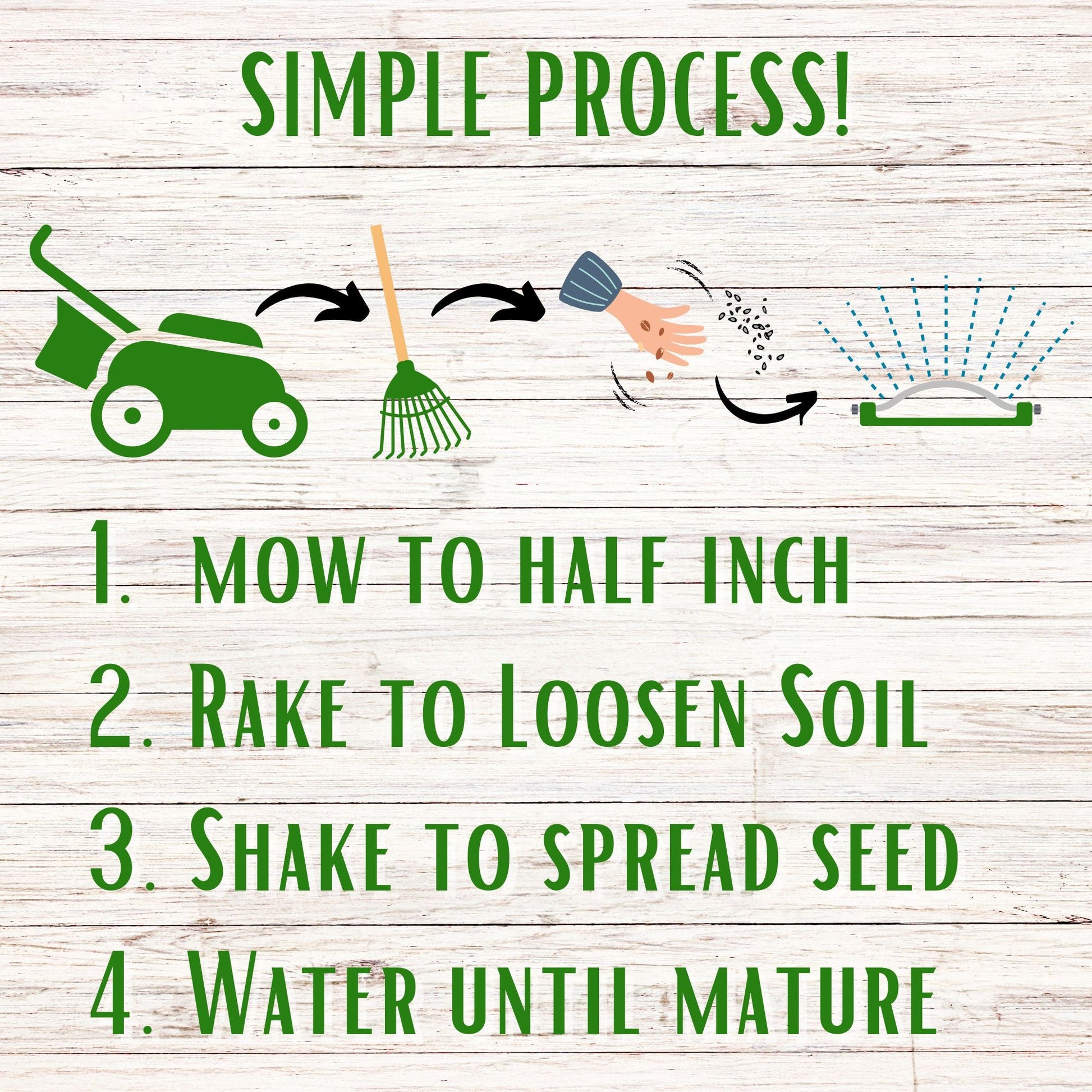 Dutch White Clover Seed - Concordia Style Boutique