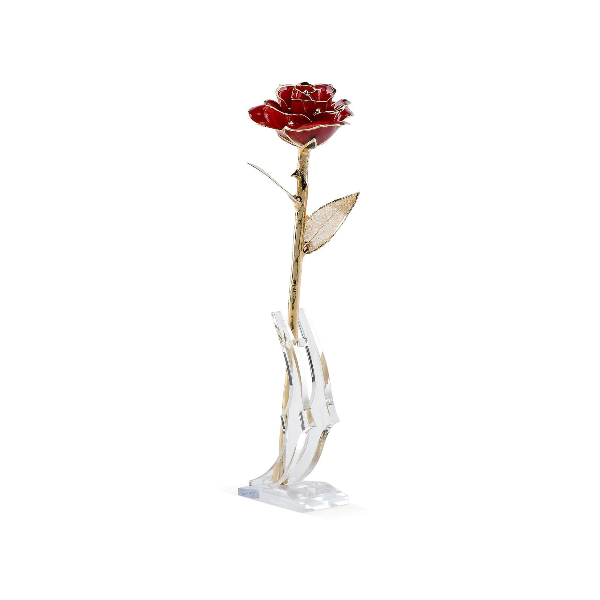 Timeless Rose (Dark Red) - Concordia Style Boutique