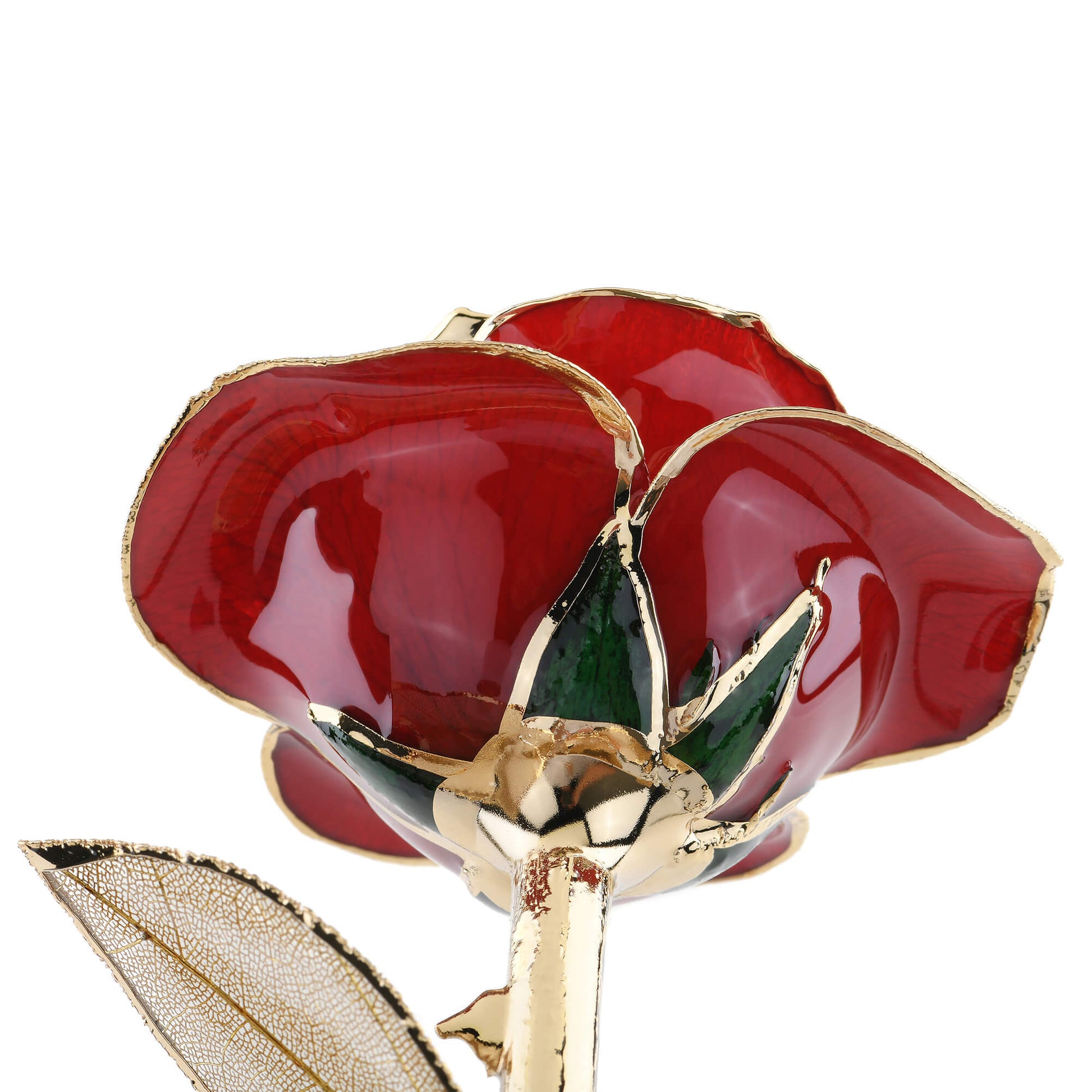 Timeless Rose (Dark Red) - Concordia Style Boutique