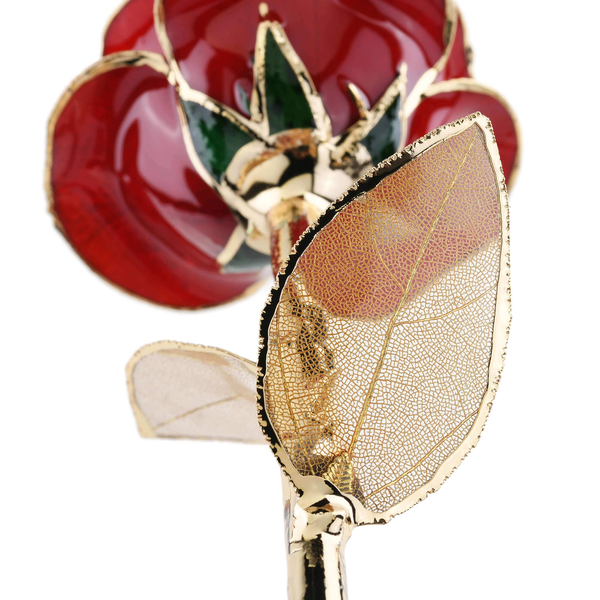 Timeless Rose (Dark Red) - Concordia Style Boutique