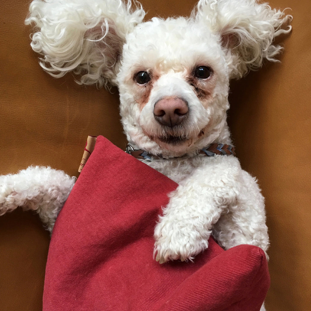 Summer Stack ––3 Square Denim Pillows –– Red, Blue & Natural