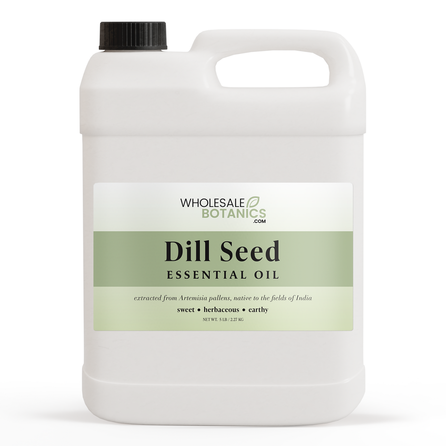Dill Seed Essential Oil