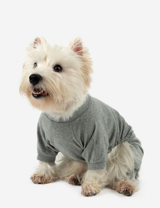 Dogs Solid Color Light Grey Pajamas - Concordia Style Boutique