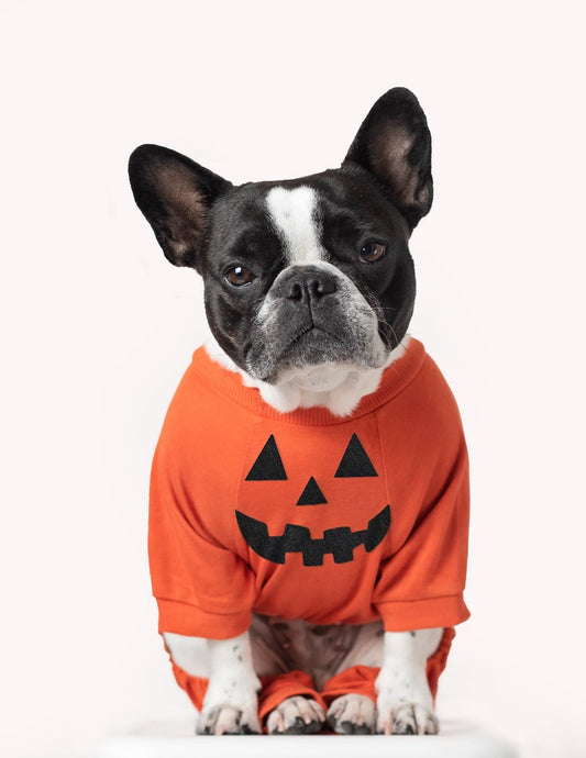 Dogs Solid Color Orange Pajamas - Concordia Style Boutique