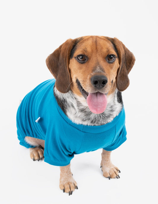 Dogs Solid Color Teal Pajamas - Concordia Style Boutique