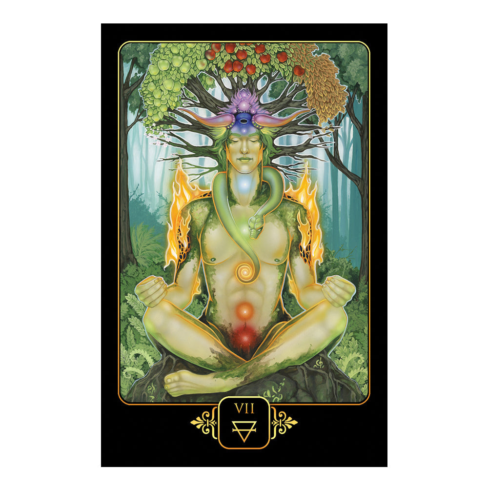 Dreams of Gaia Tarot - Concordia Style Boutique