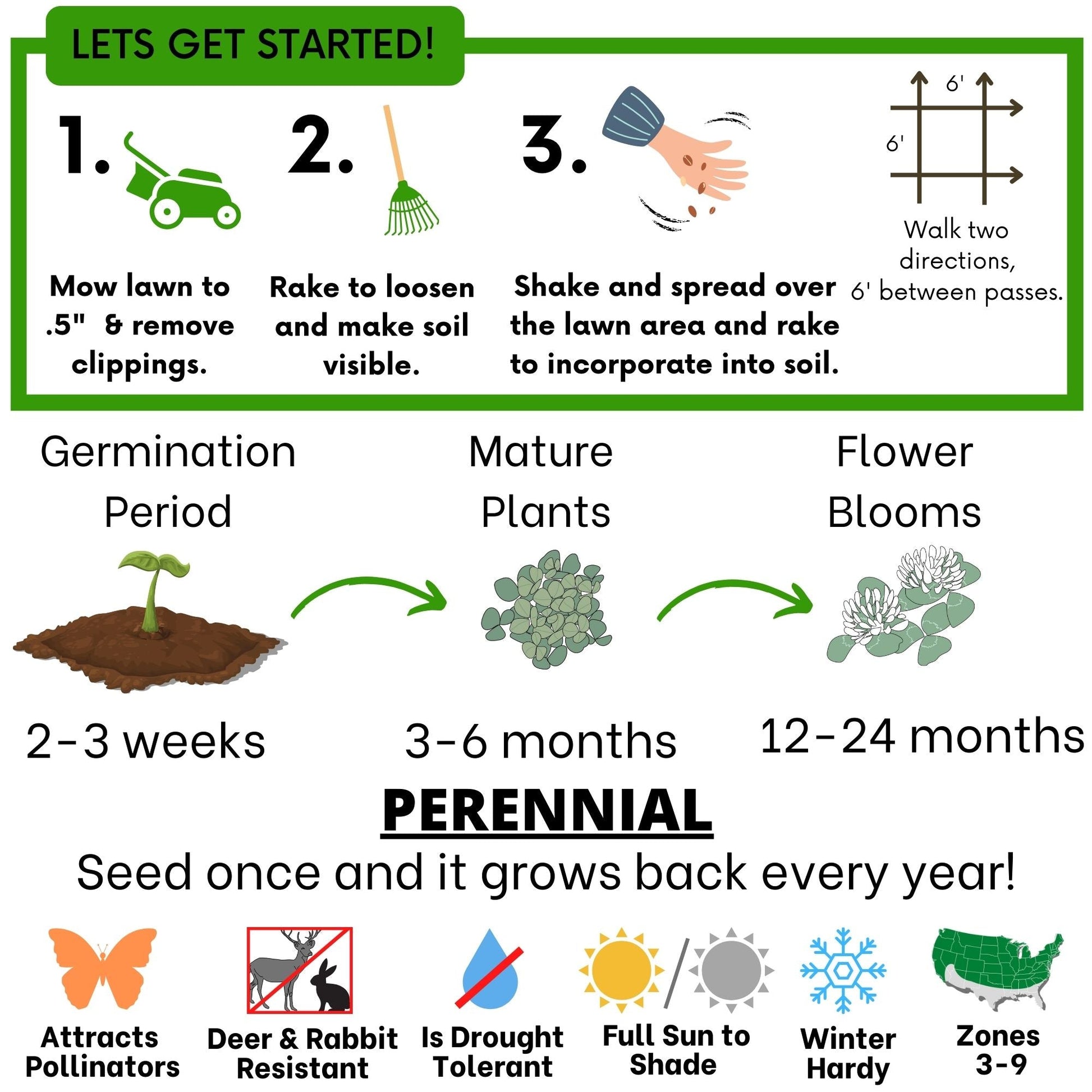 Dutch White Clover Seed - Concordia Style Boutique