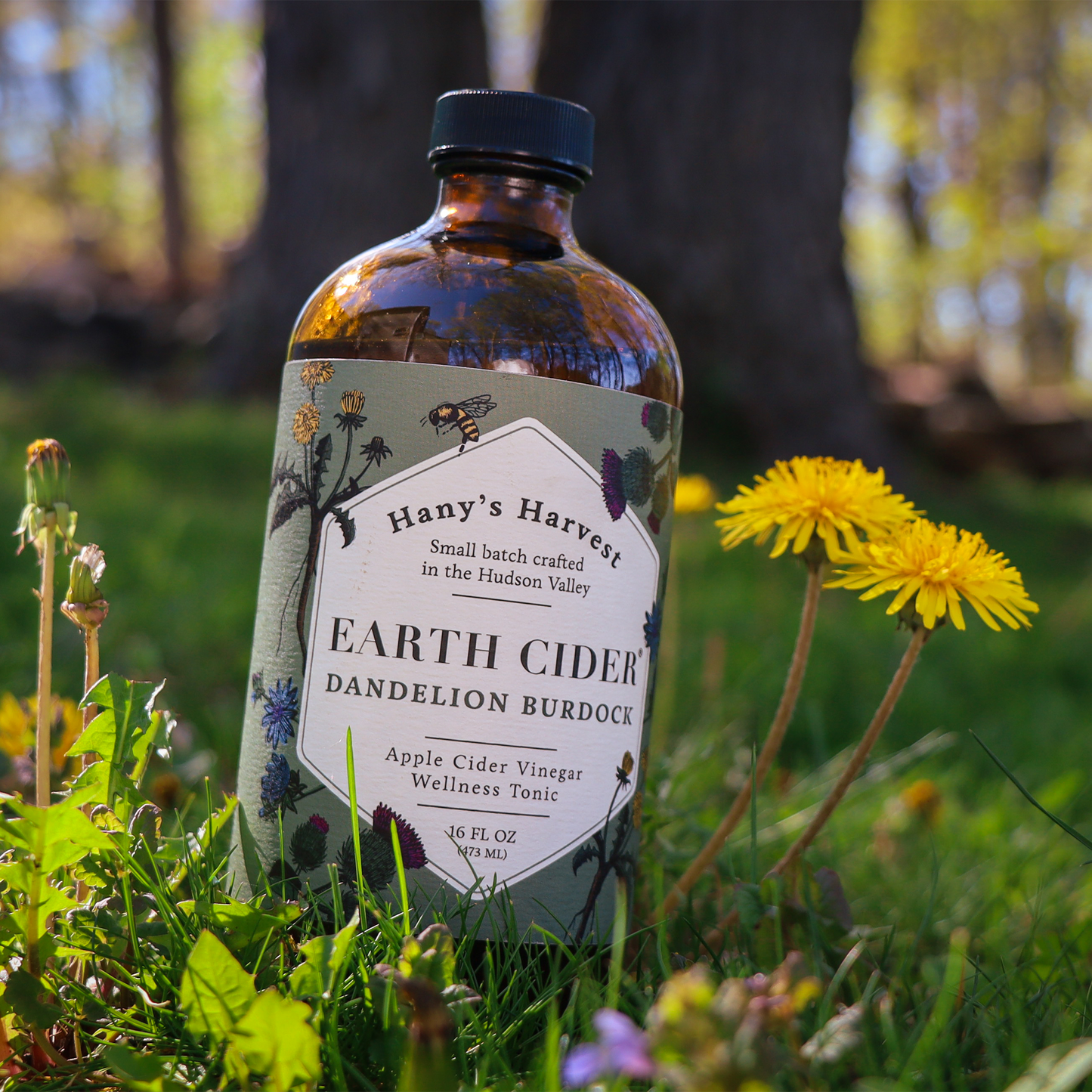 Dandelion Earth Cider - Concordia Style Boutique