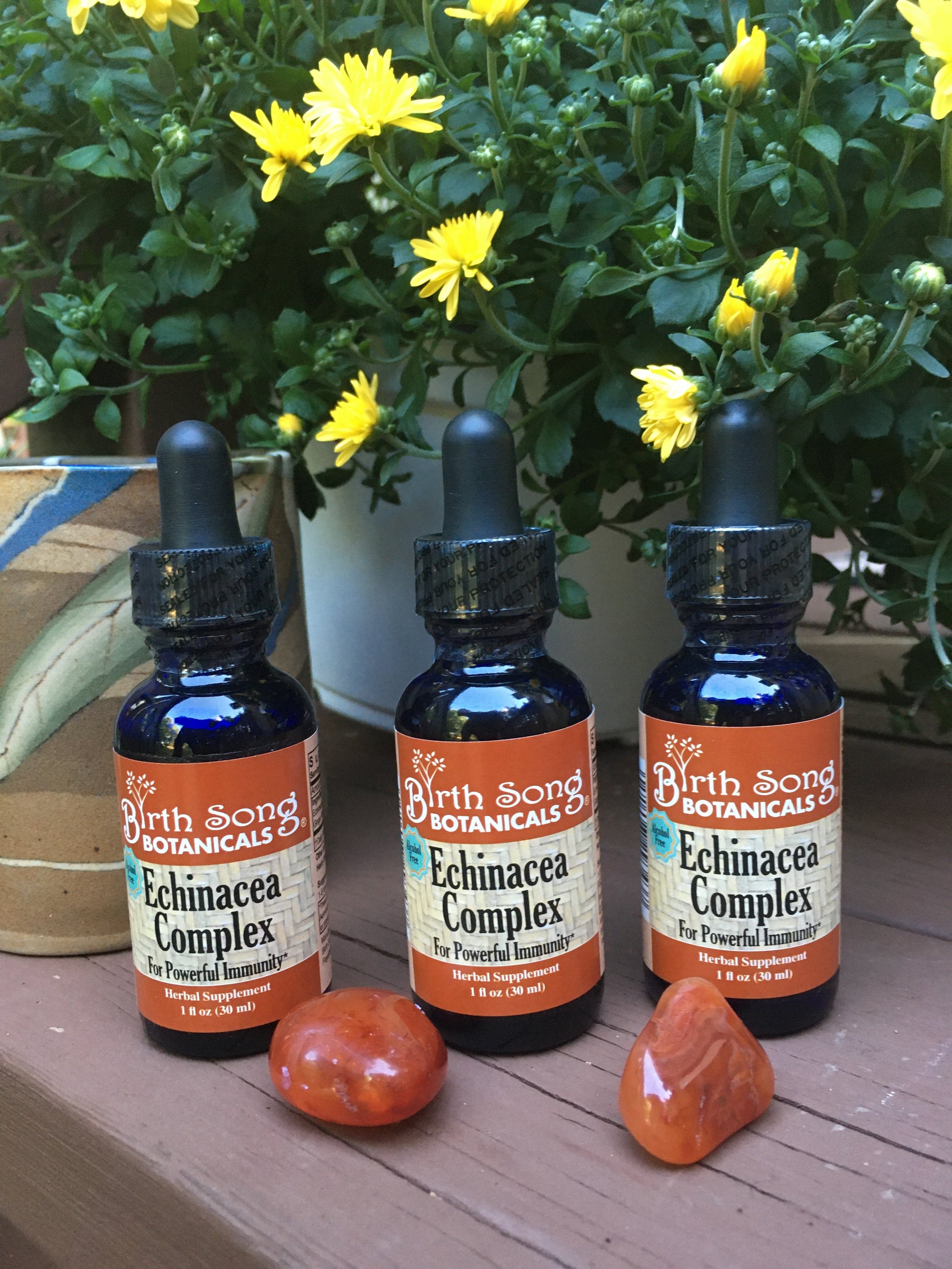 Echinacea Complex Herbal Tincture, Liquid Echinacea Root Extract for Immune System Support* 1 oz. - Concordia Style Boutique