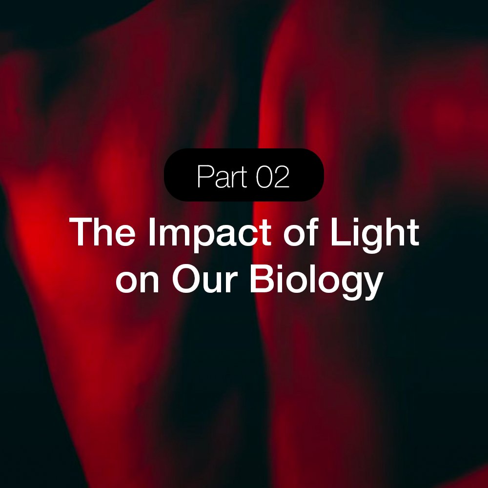 Lumaflex Foundations Course - Discover the transformative power of Red Light Therapy through the Lumaflex® Foundations Course Book and Workshop Video Access bundle - Concordia Style Boutique
