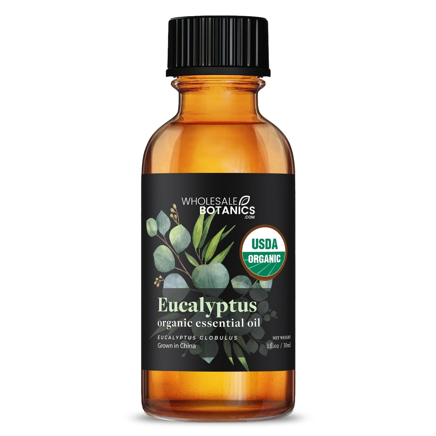 Organic Eucalyptus Essential Oil