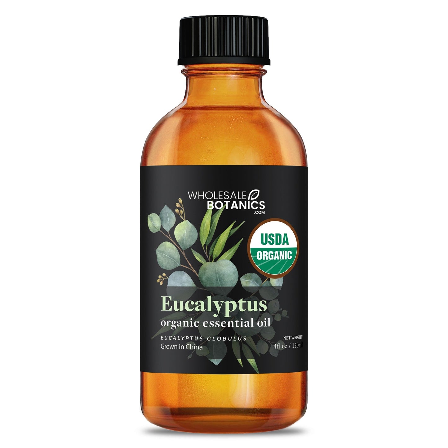 Organic Eucalyptus Essential Oil