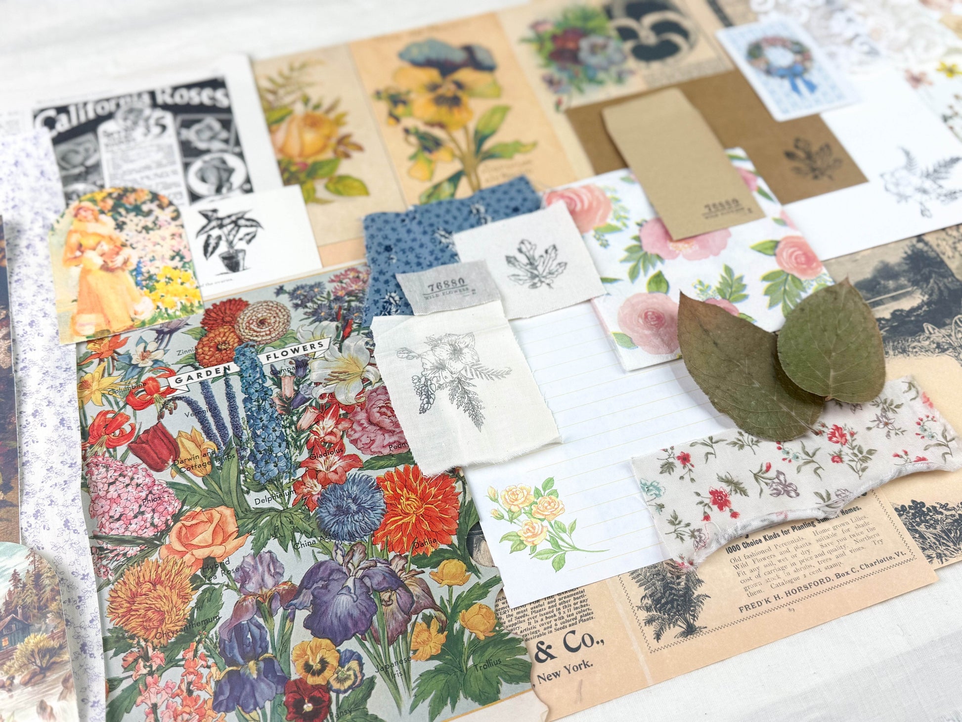 Botanical and Nature Ephemera Kit - Concordia Style Boutique