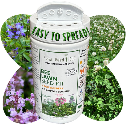 Bee Lawn Seed Kit - Easy Spread Shaker - Concordia Style Boutique