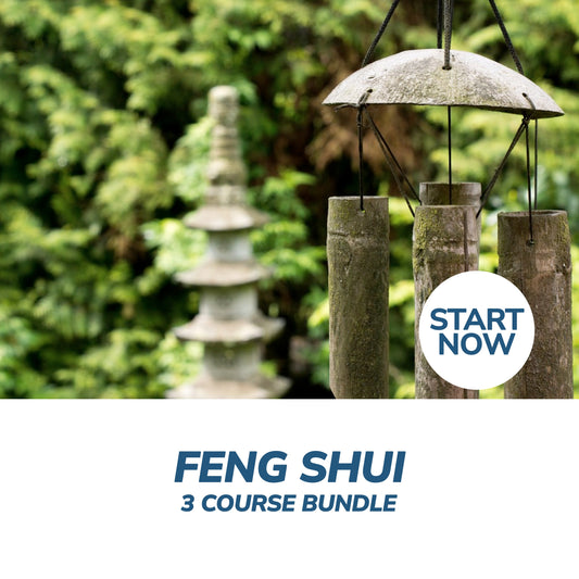 Feng Shui Online Bundle, 3 Certificate Courses - Premium Feng Shui from Courses For Success - Just $399! Shop now at Concordia Style Boutique