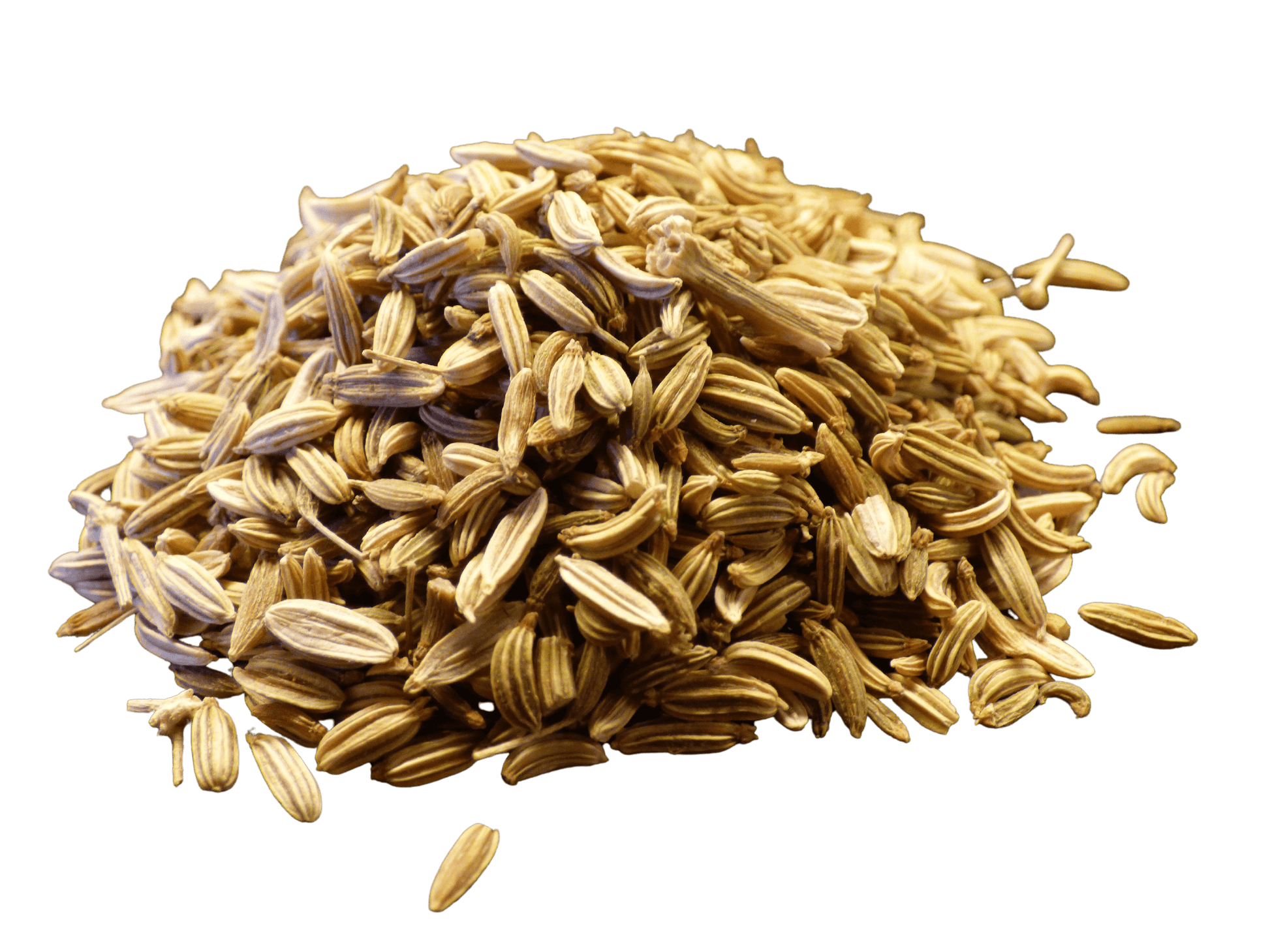 Fennel Seed, Whole - Concordia Style Boutique