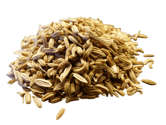 Fennel Seed, Whole - Concordia Style Boutique
