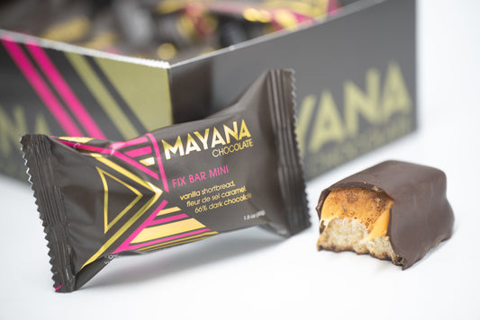 Fix Mini Bar // 10 Count - Concordia Style Boutique