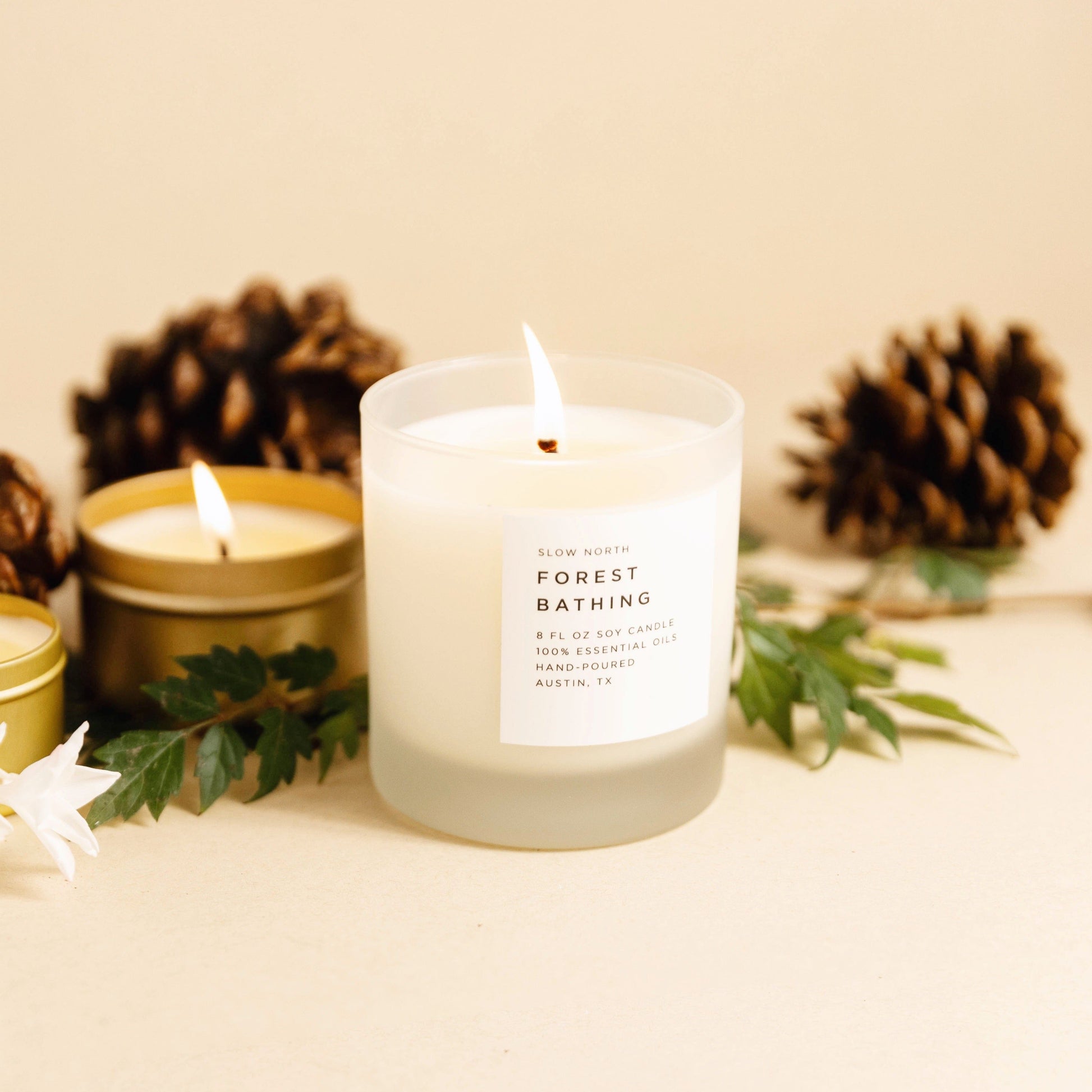 Forest Bathing - Signature Candle (Fir + Pine + Patchouli) - Concordia Style Boutique