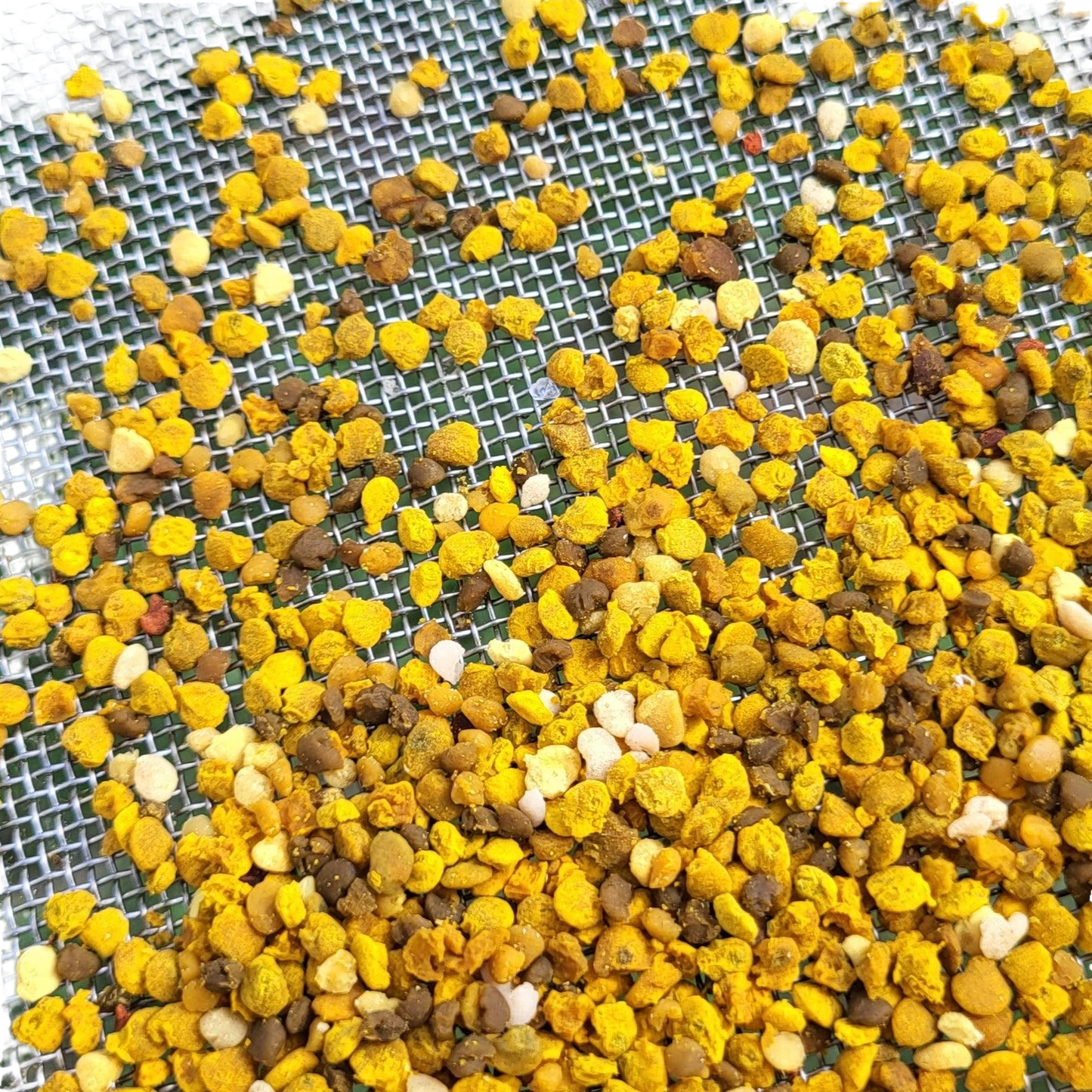 Fresh Birmingham Bee Pollen - Concordia Style Boutique