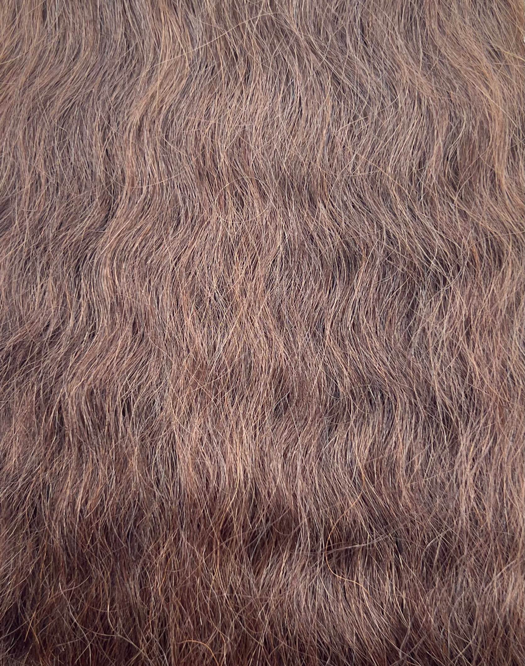 TRESS Collection Human Hair Blend - Super Bulk 14'' - Concordia Style Boutique