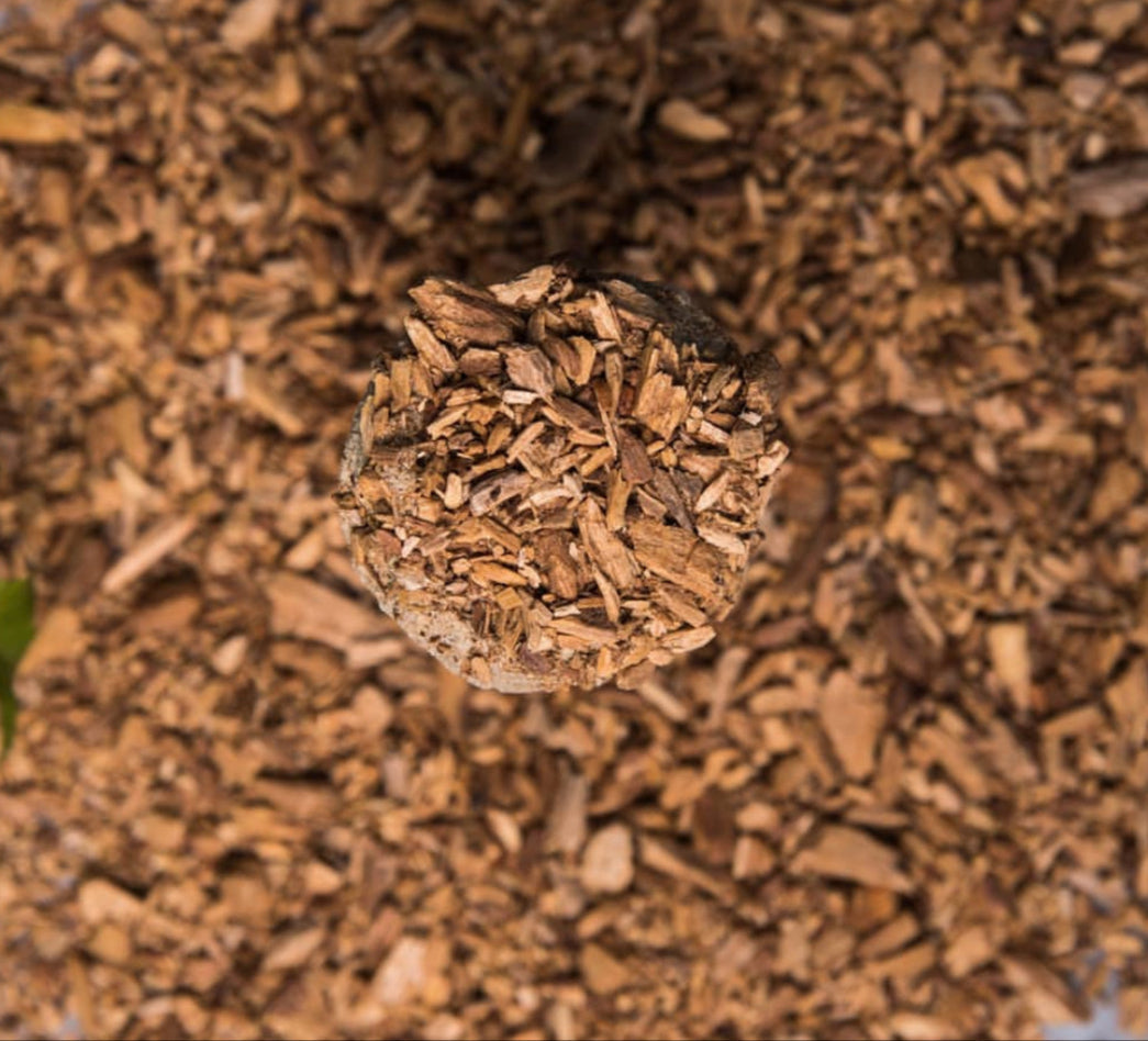 Palo Santo Herbal Gift Box | Purification - Concordia Style Boutique