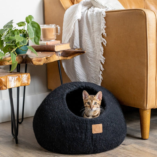 Night Black | Round Style Cave - Concordia Style Boutique