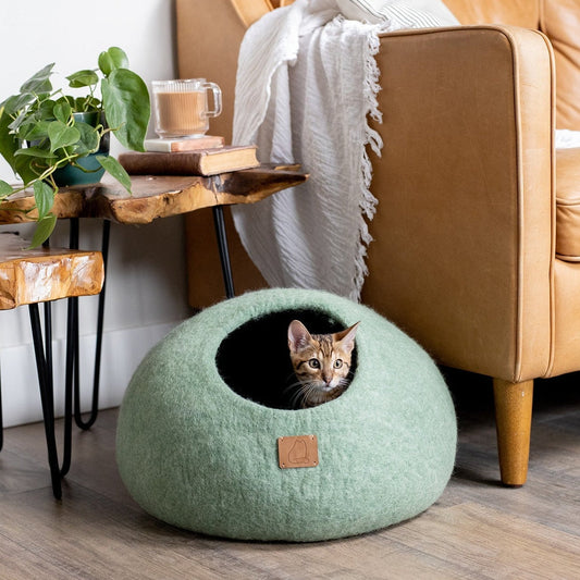 Eucalyptus Green | Round Style Cave - Concordia Style Boutique