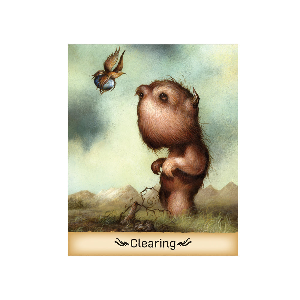 Gentle Creatures Wisdom Deck - Concordia Style Boutique