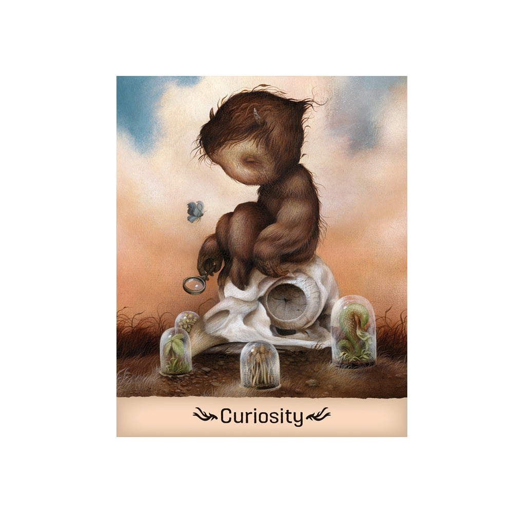 Gentle Creatures Wisdom Deck - Concordia Style Boutique